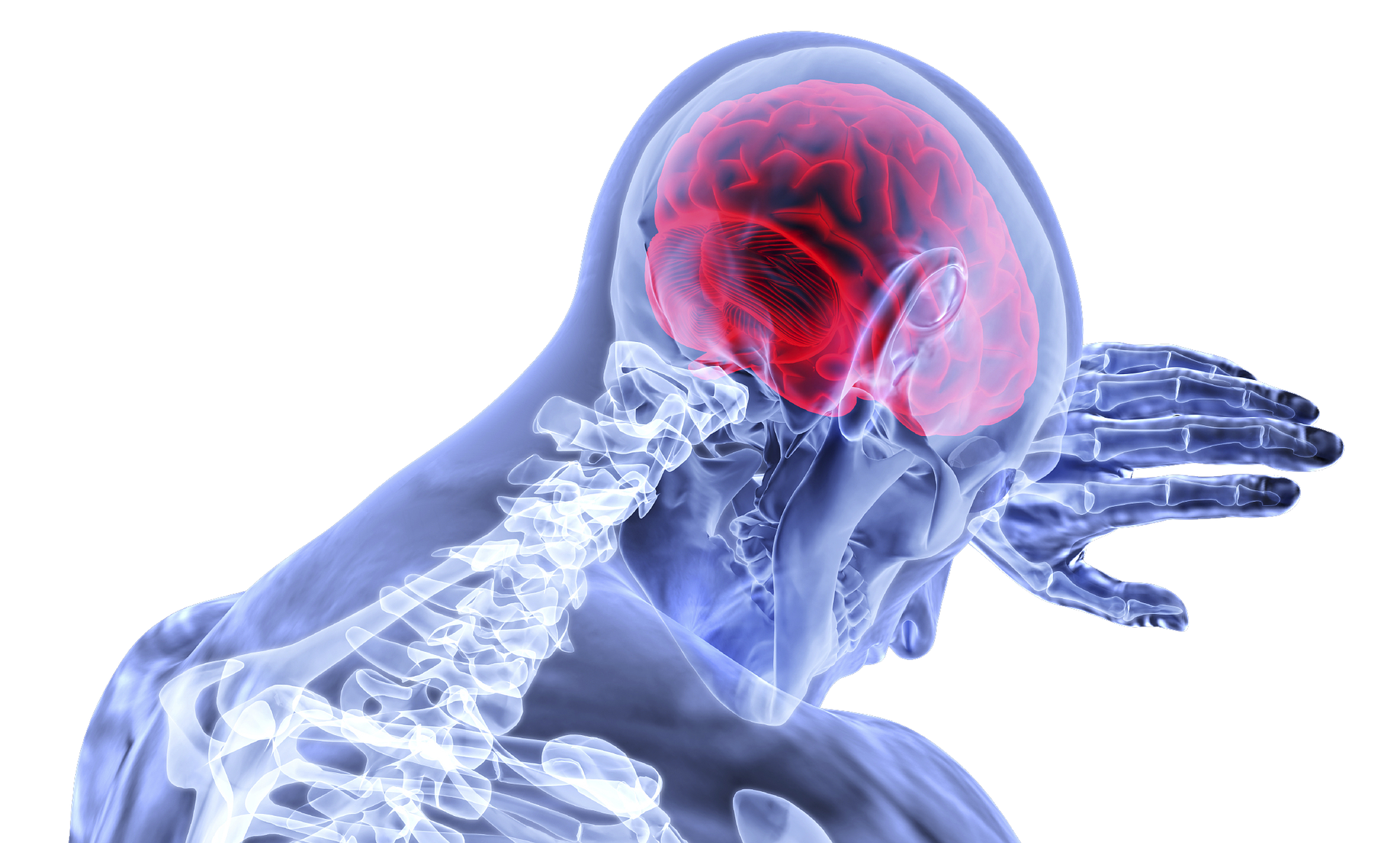 sports-psychology-sportageous