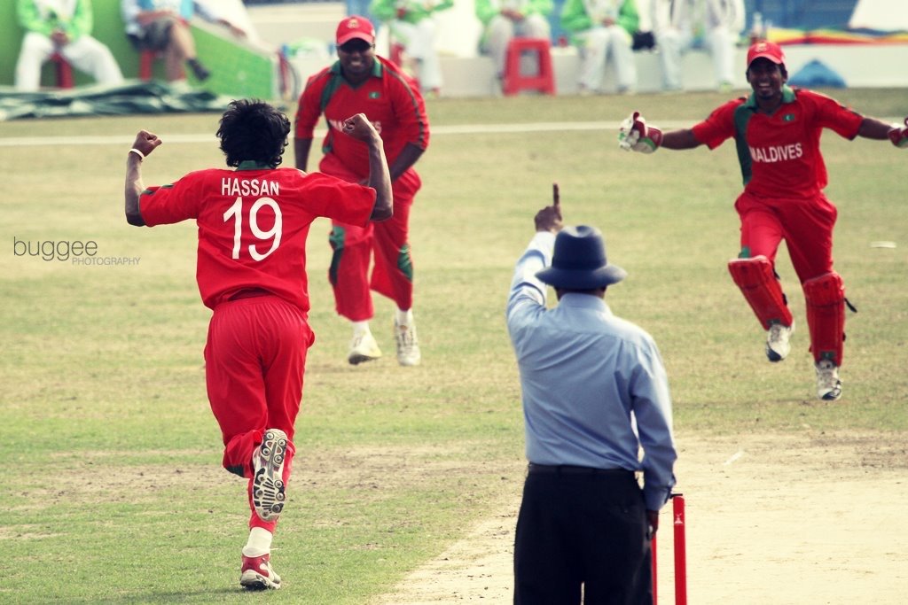 Hassan Ibrahim takes a wicket and celebrates
